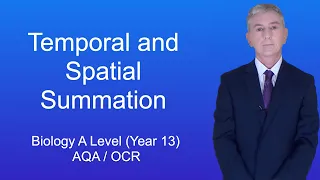 A Level Biology Revision (Year 13) "Temporal and Spatial Summation"