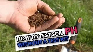 How to Test Soil pH without a Test Kit