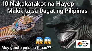 10 Nakakatakot na Hayop sa Dagat ng Pilipinas | 10 Scariest Sea Monster in Philippine Sea