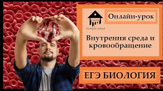 Внутренняя среда и Кровообращение для ЕГЭ 2023|ЕГЭ БИОЛОГИЯ|Freedom|