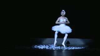 Les Ballets Trockadero de Monte Carlo - The Dying Swan