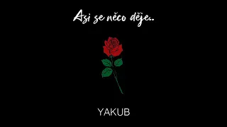 YAKUB - Asi se něco děje