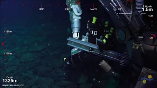 ROV SuBastian Dive 283 - Yomie Seamount