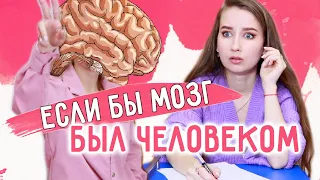 Если бы НАШ МОЗГ 🧠 был ЧЕЛОВЕКОМ || Противный типОК