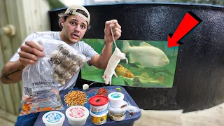 FEEDING LIVE ANIMALS to My 5,500G POND!!