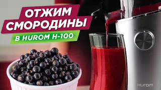 Заготовки из смородины в соковыжималке для ягод