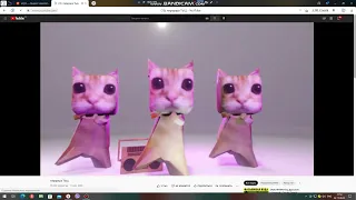мемы с котами ржака всё видео