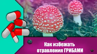 Как избежать отравления ГРИБАМИ.  Первая помощь.