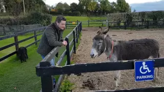 The Donkey Whisperer