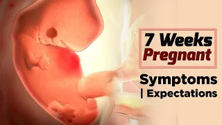 7 Weeks Pregnant Women's Health | Care Tips For Pregnant Lady - Problems Faced By Pregnant Women