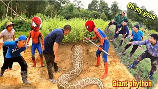 6 Brave Hunters Team Up with Spider-Man to Catch Giant Snake Monsters | New Hunter