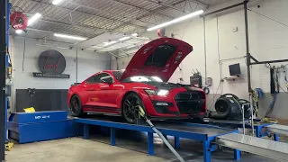 2021 Ford Mustang GT 500 - Dyno Pulls