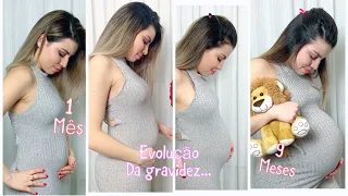 EVOLUÇÃO DA BARRIGA NA GRAVIDEZ | DO INÍCIO AO FIM | PALOMA SOARES