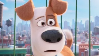 The Secret Life Of Pets | official trailer #3 US (2016) Illumination