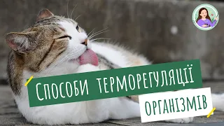 Способи терморегуляції організмів