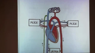 26.11. 2018 Srdce a krevní oběh - doc. RNDr. Pavel Fiala, CSc