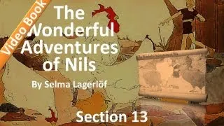 13 - The Wonderful Adventures of Nils by Selma Lagerlöf - Little Karl's Island