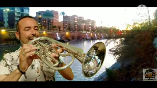 LOVE STORY -Francis Lai- #fliscorno #flugelhorn