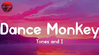 Tones and I - Dance Monkey (Lyrics) | Miley Cyrus, Ed Sheeran... (MIX LYRICS)