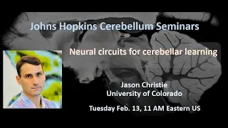 Jason Christie: Neural circuits for cerebellar learning
