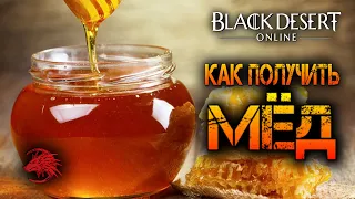 Как добыть мёд в БДО Black Desert Online