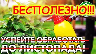 искореняющая обработка  не нужна