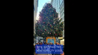🎄 NYSE Christmas Tree 2021 New York City #shorts #christmastree #nyse
