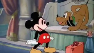 Mickey - A Exibição De Cães