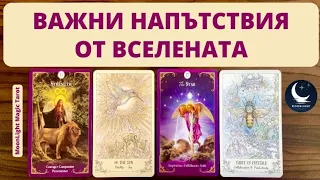 💗🔥🔮🍀 ВАЖНИ НАПЪТСТВИЯ ОТ ВСЕЛЕНАТА 🍀🔮🔥💗 | Timeless ✨