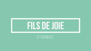 Stromae - Fils de joie | Lyrics.be