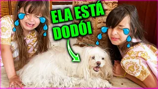 NOSSA CACHORRINHA ESTA DODÓI 😱 😢 JÉSSICA GODAR, LAURINHA E HELENA E GABRIEL