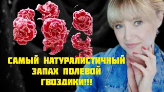 АРОМАТ ВЕСНЫ И ЛЕТА ВО ФЛАКОНЕ!!!🔥ПАРФЮМЕРНЫЙ ВОСТОРГ!!!🔥