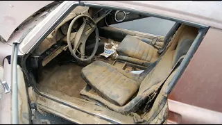 Restoration Abandoned Porsche 914 (1970)