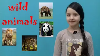 Дикие животные на английском языке. Wild animals.