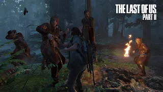 The Last of Us 2 - The Seraphites - Survivor: Ellie Gameplay (PS4 PRO)