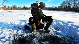 Зимняя рыбалка в тайге. Хариус и ленок просто зверюги. Зимняя рыбалка в Сибири.
