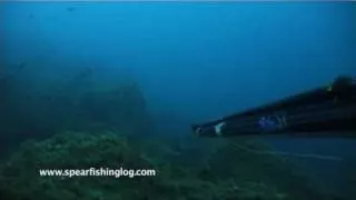 Spearfishing - Dynamic Shot | Podvodni ribolov