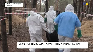 Executions and tortures: bodies of people killed by Russian soldiers are exhumed in Kharkiv region