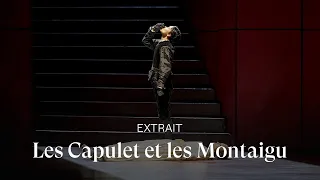 [EXTRAIT] I Capuleti e i Montecchi by Bellini (Anna Goryachova & Julie Fuchs)