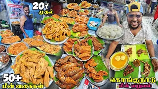 மீன் உலகின் சொர்கம் 50+ Fish Varieties | Kongunadu Meen Varuval | Tamil Food Review