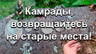 Камрады, возвращайтесь на старые места!