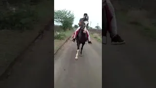 Me and #kathiyawadi #horse  riding Reval sal ||2019