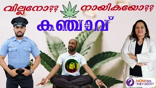 കഞ്ചാവ്  𝗟𝗘𝗚𝗔𝗟 ആയി 😱 | അറിയേണ്ടതെല്ലാം | Medical Marijuana Cannabis | Effects | Addiction | Kanjavu