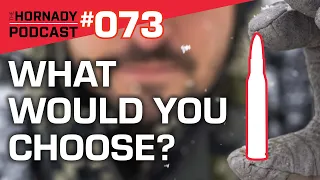 Ep. 073 - One Cartridge - One Bullet | What Would You Choose? |