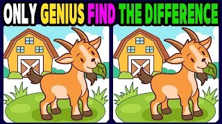 【Spot the difference】Only genius find the difference【 Find the difference 】323