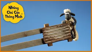 Những Chú Cừu Thông Minh 🐑 Mùa 2 phần 14 Tập đầy đủ