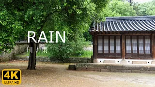 10 Hours Rain & Bird Singing in the Kor Traditional House | Relax | Sleep | white noise