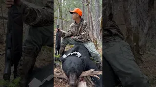 Black Bear Hunting in California