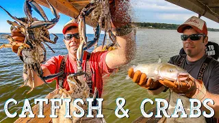 Catfishing For Rusty Crabs 🦀Commercial Crabbing Maryland Friday Report