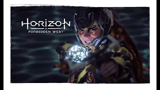 Horizon Forbidden West: Burning Shores | Control GMV